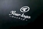LOGO样机