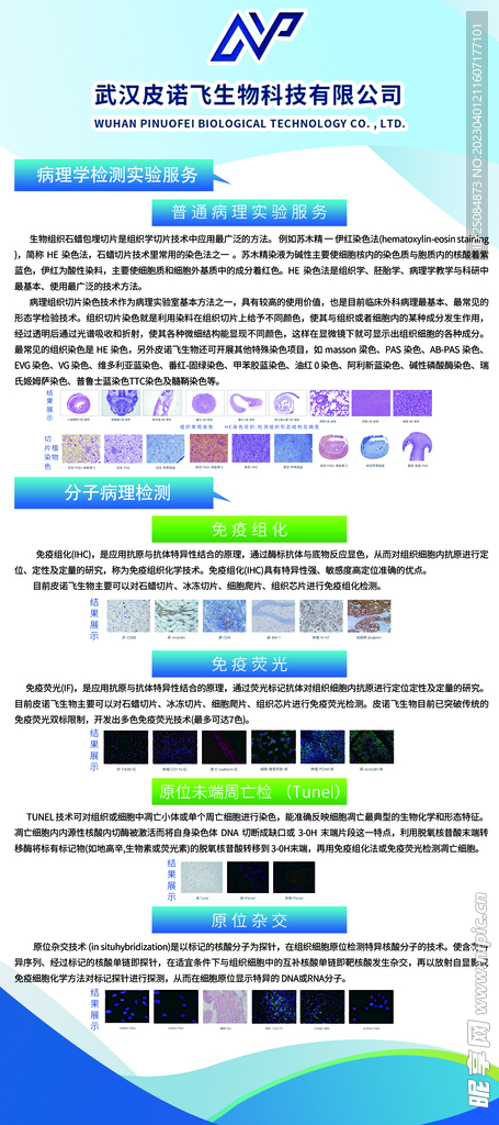蓝色展架