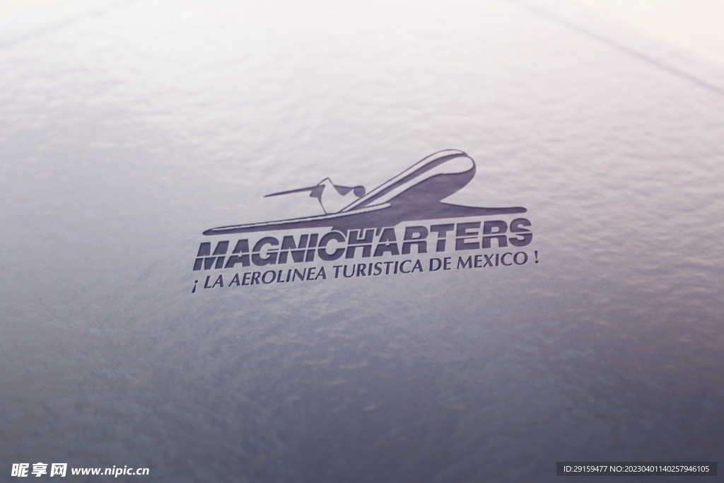 LOGO样机 