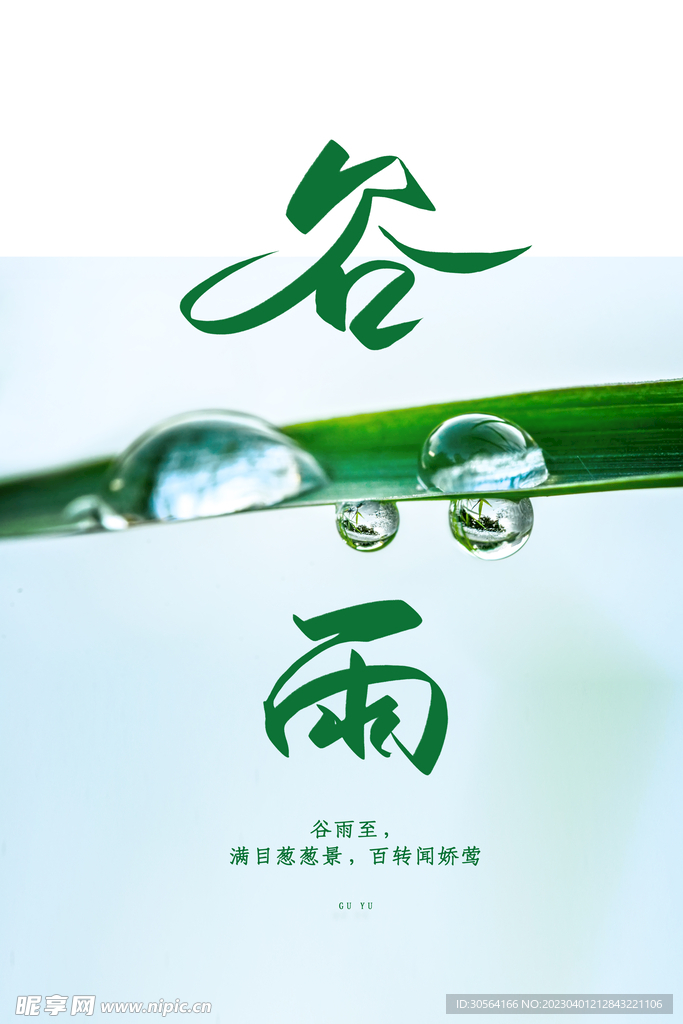 谷雨