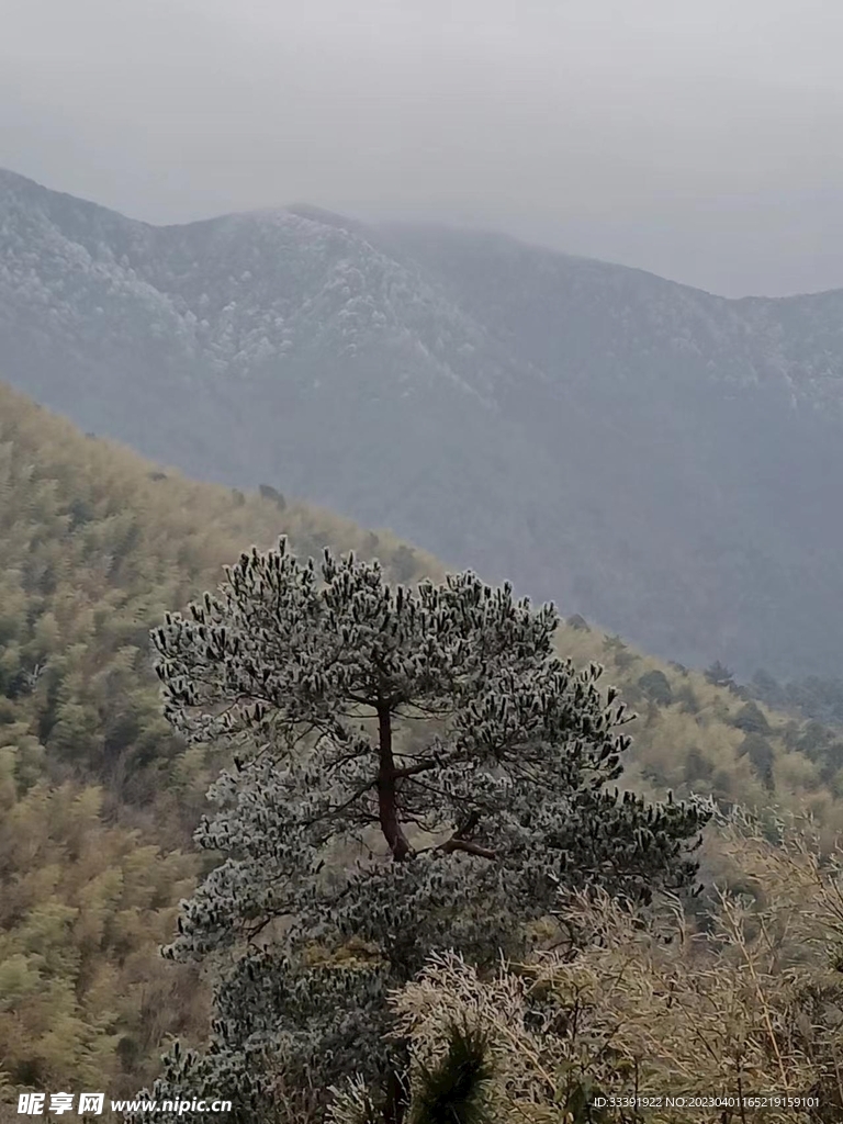 雪景