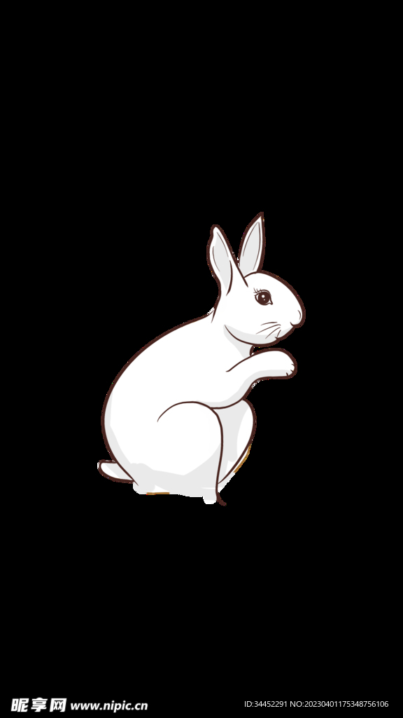 手绘兔子
