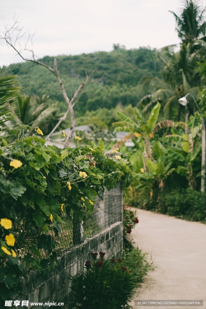 山村道路