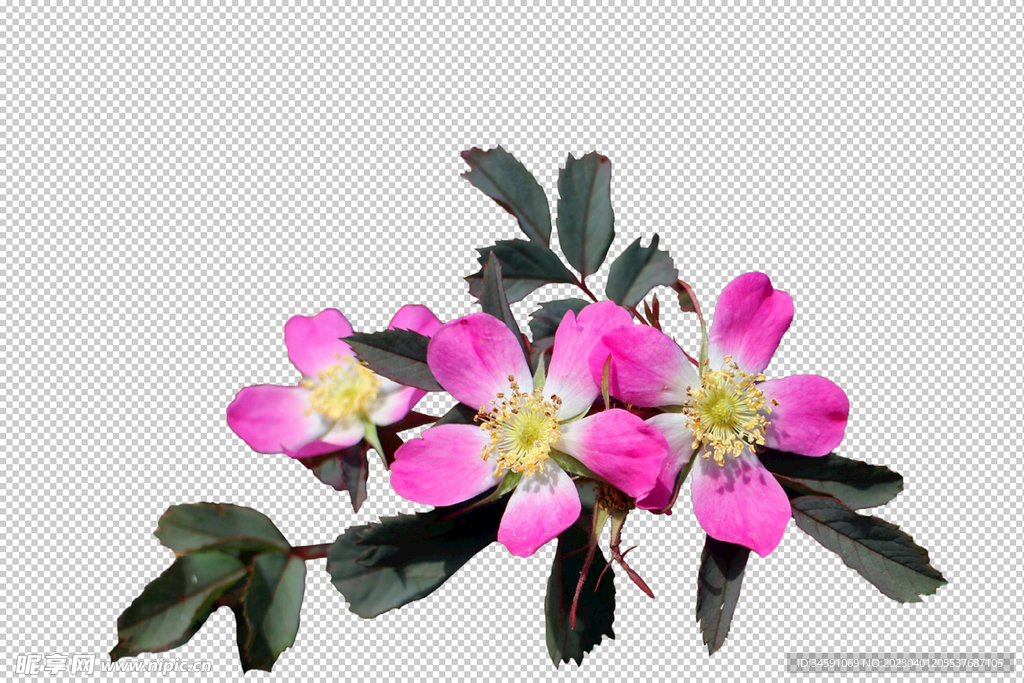 花