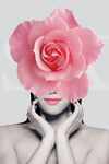 粉色玫瑰花时尚美女艺术挂画装饰
