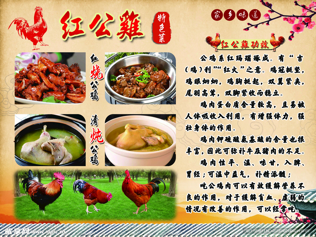 红公鸡营养价值功效