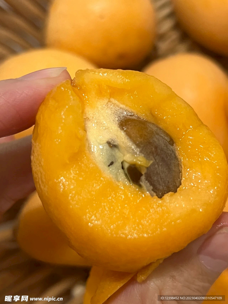 枇杷