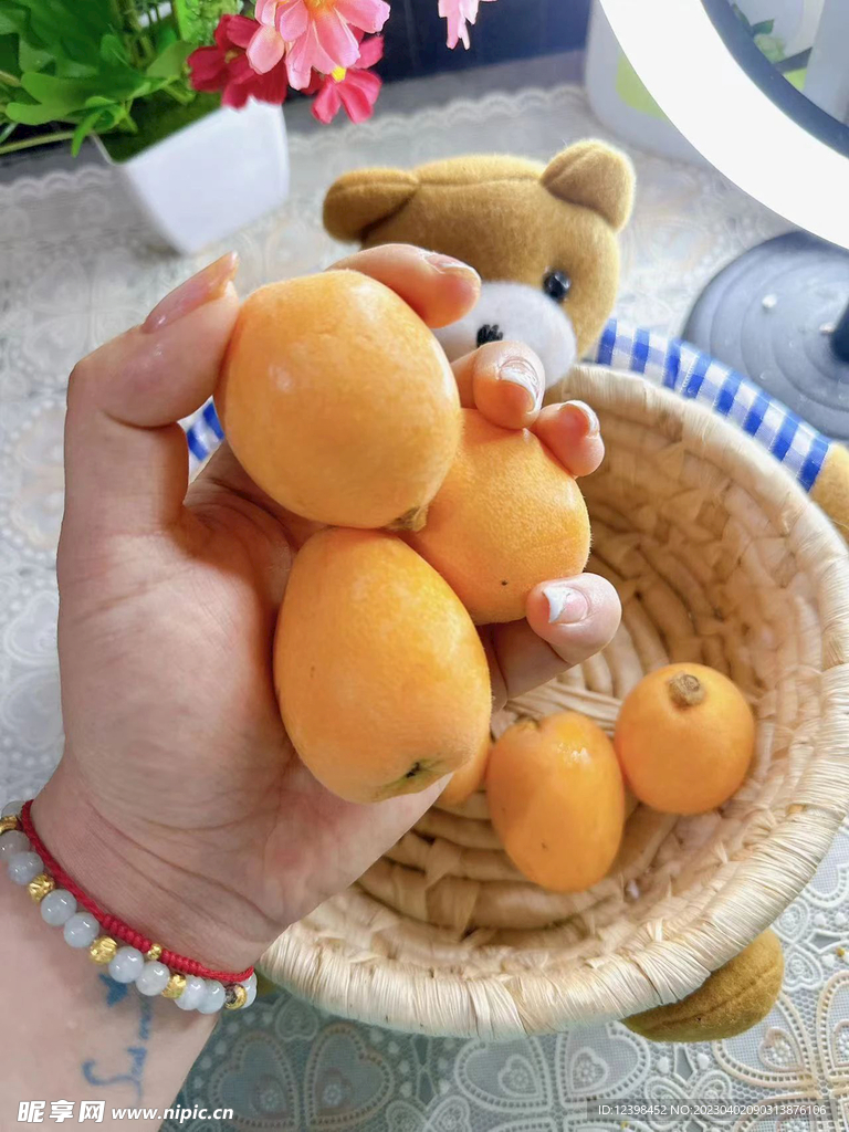 枇杷