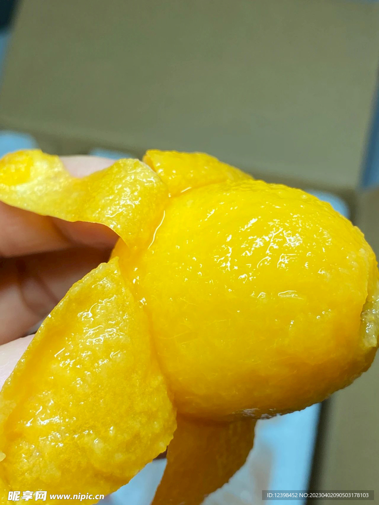 枇杷