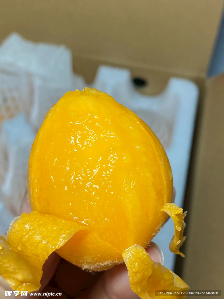 枇杷