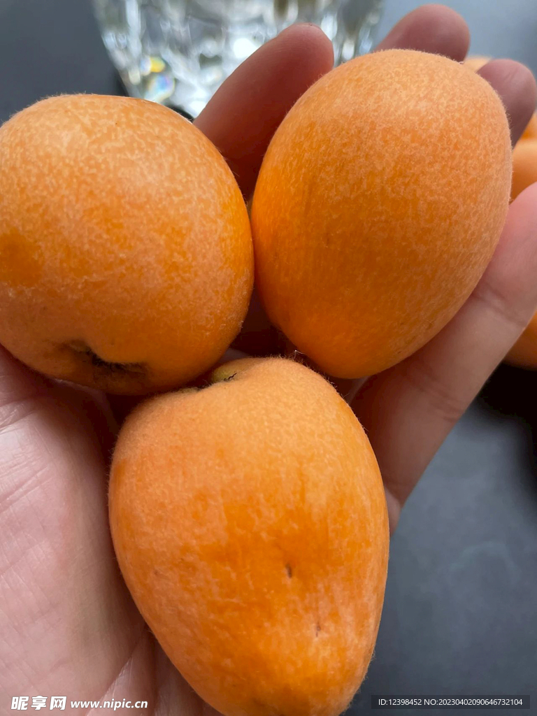 枇杷