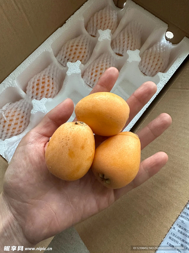 枇杷