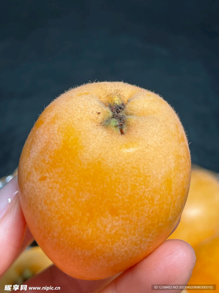 枇杷