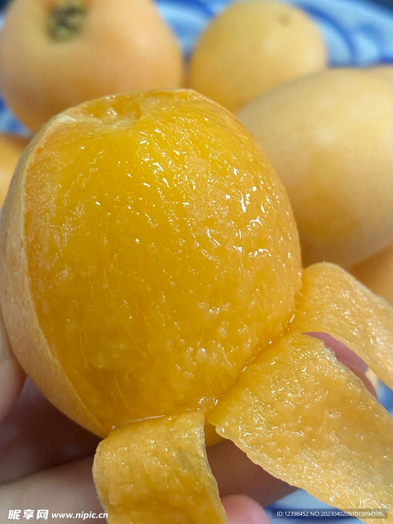 枇杷