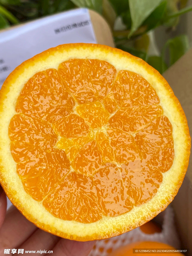 脐橙
