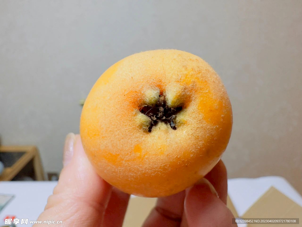 枇杷