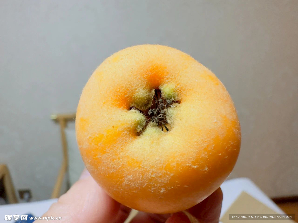 枇杷