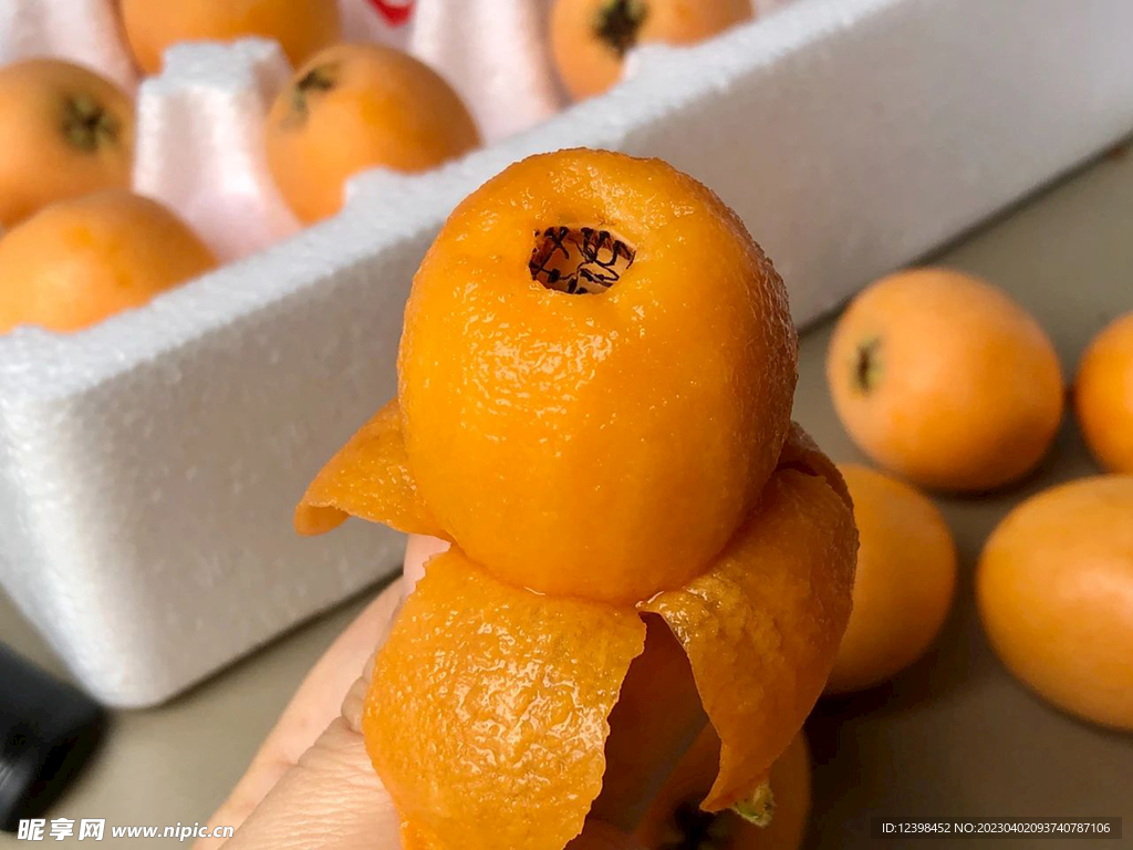 枇杷