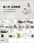 从种到界