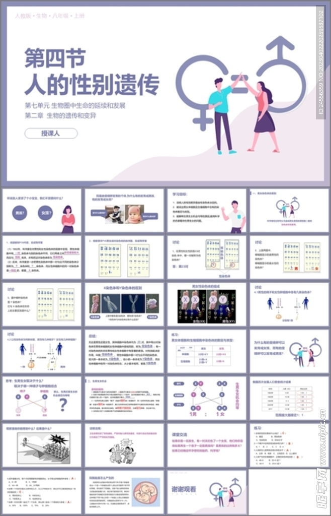 人的性别遗传