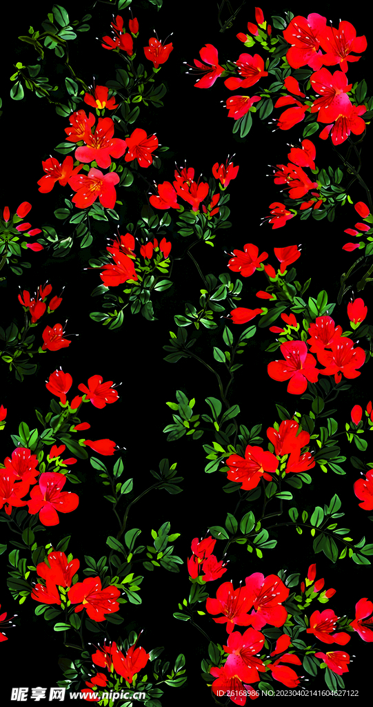 手绘花