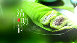 清明节
