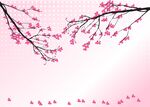 画册封面 梅花