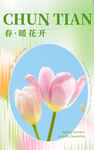 春海报