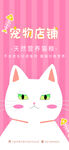 猫粮