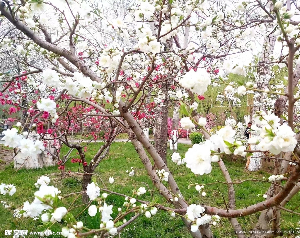 春暖花开