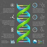 DNA信息图