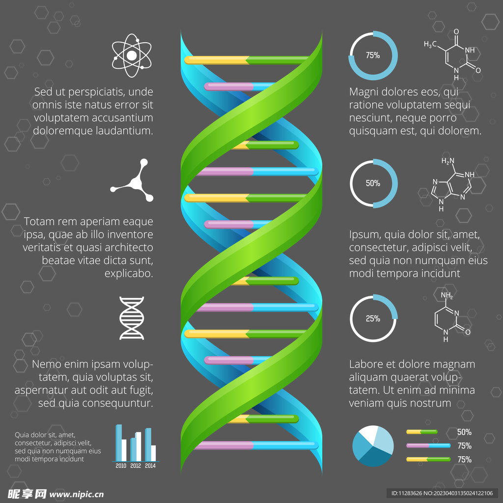 DNA信息图