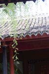 屋檐垂柳