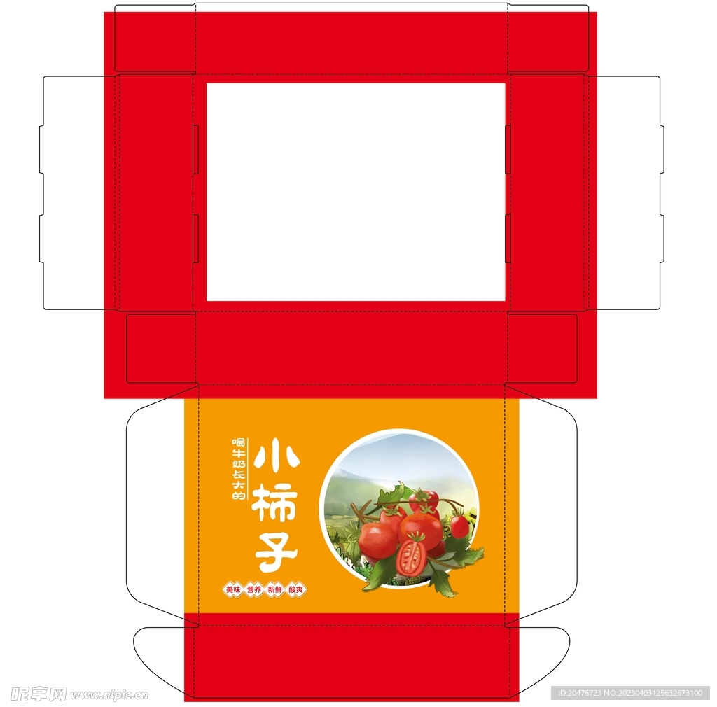 小柿子盒
