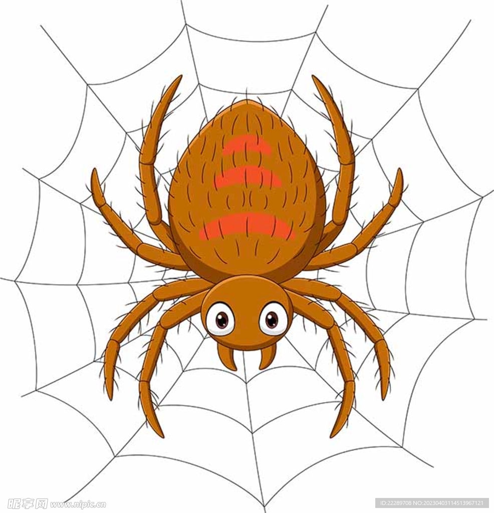 卡通蜘蛛