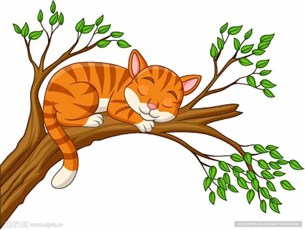 卡通猫