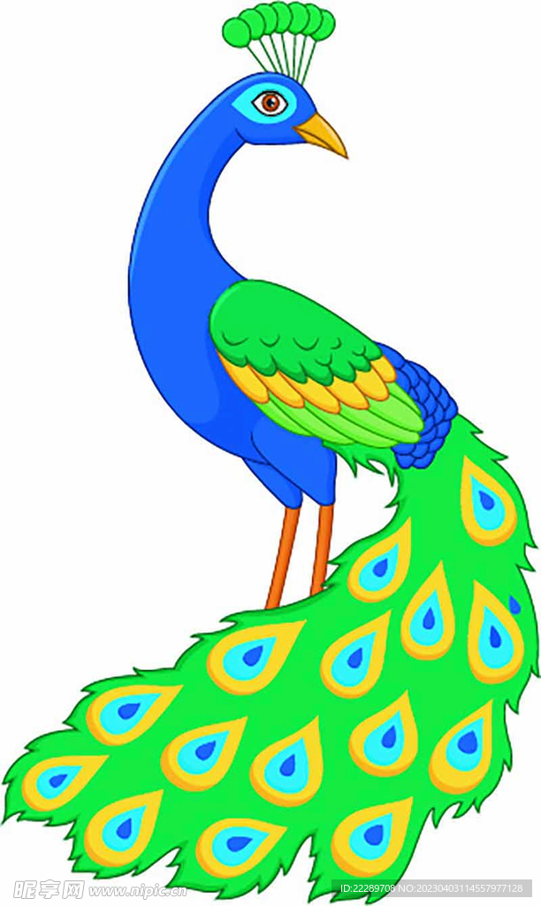 卡通孔雀