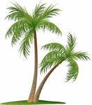 卡通椰树