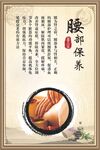 腰部保养海报
