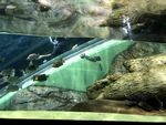 水族馆