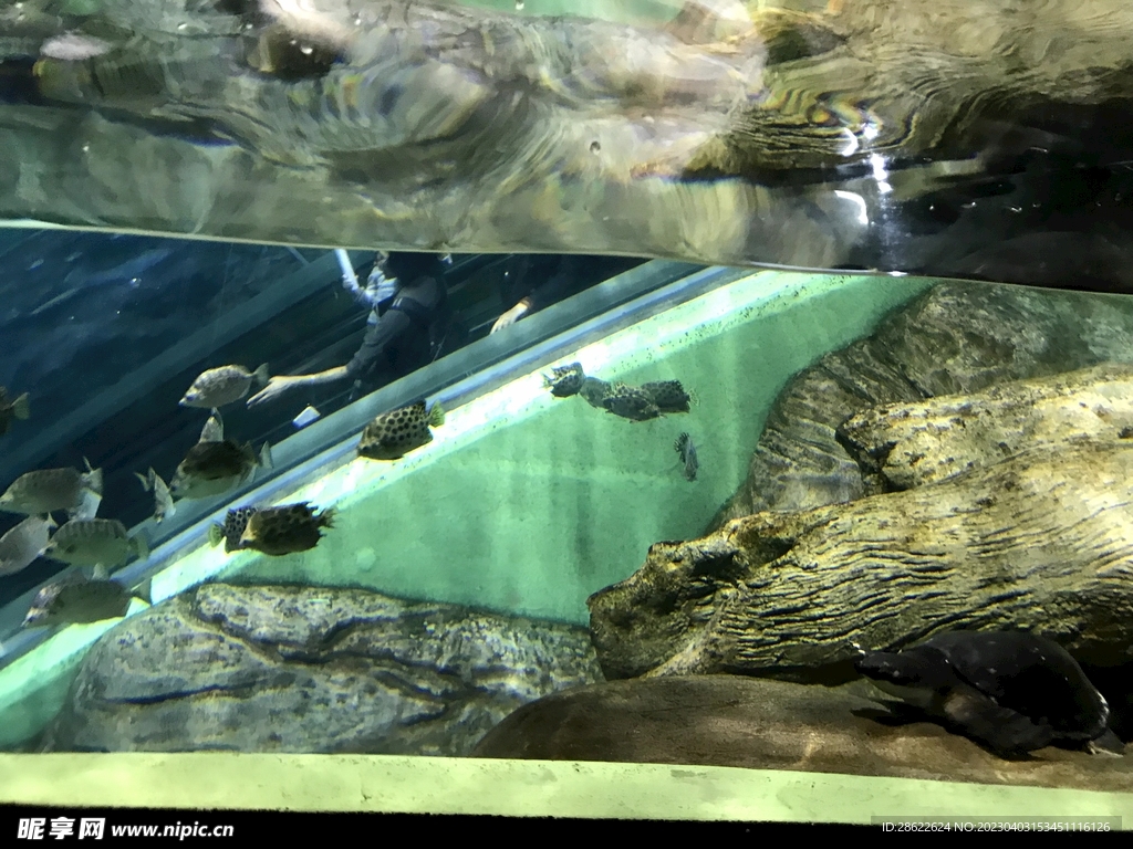 水族馆