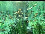 水族馆