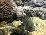 水族馆
