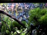 水族馆