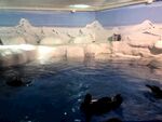 水族馆