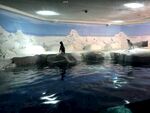 水族馆