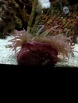 水族馆