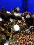 水族馆