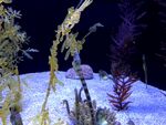 水族馆