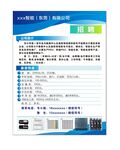 企业公司招聘样版